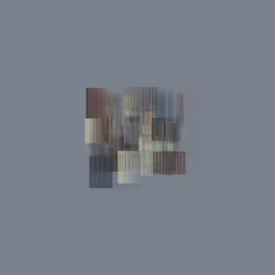 1000207