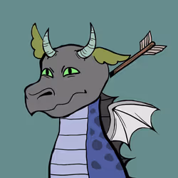 Dragon Town #1229