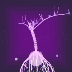 Sacred Trees #128