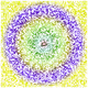 13555859