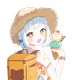 8247