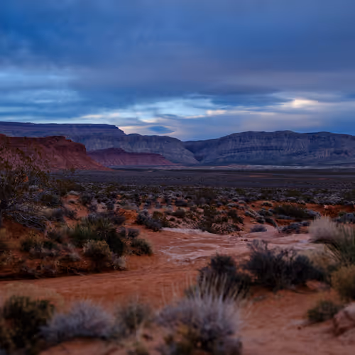 Where Dinosaurs Walked The Chorus