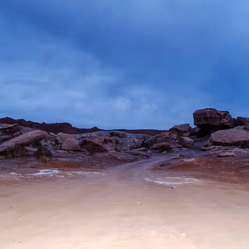 Where Dinosaurs Walked The Chorus