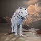 520
