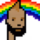 7202