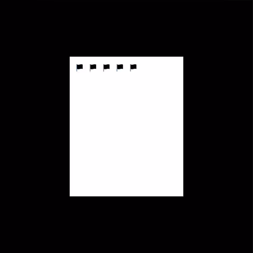 Black Flags 1