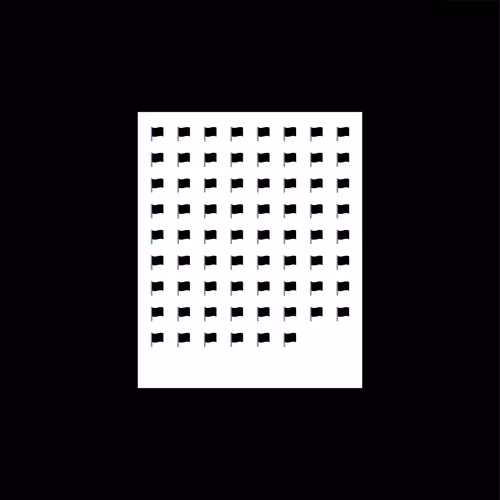 Black Flags 1