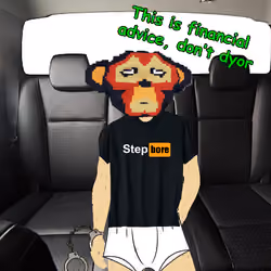 What are you doing StepBore #310
