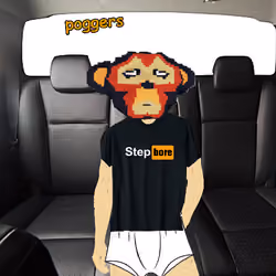 What are you doing StepBore #287