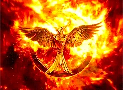 Item #273676362378641430 Media