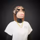 1361