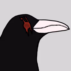 729