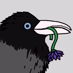 726