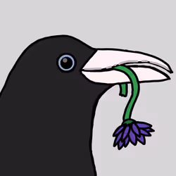 314