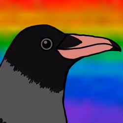 146