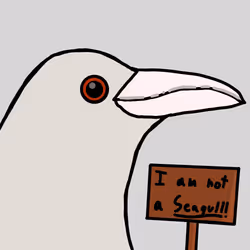 251