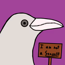 658