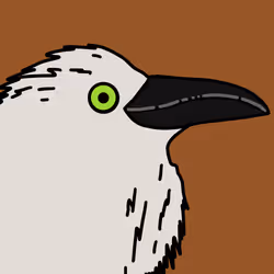954