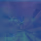207