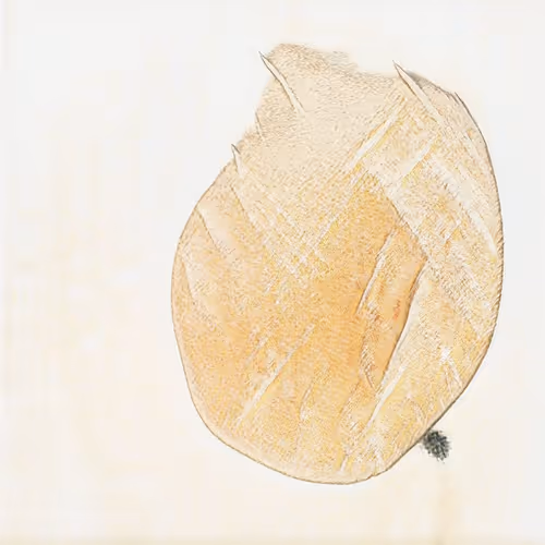 Dartart