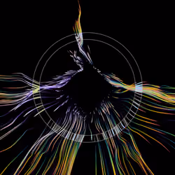 Vortex #981