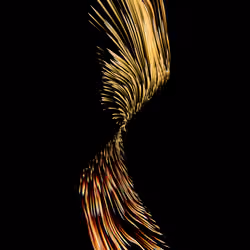 Vortex #1283