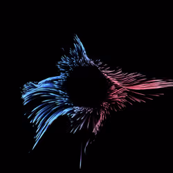 Vortex #588