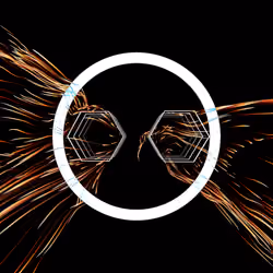 Vortex #1144