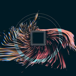 Vortex #852