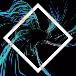Vortex #974