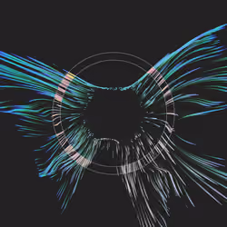 Vortex #842