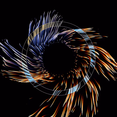 Vortex #829
