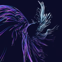 Vortex #854