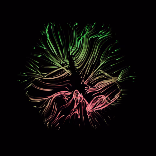 Vortex Spectra Art