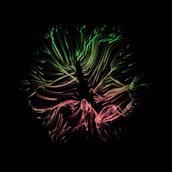 Vortex #126