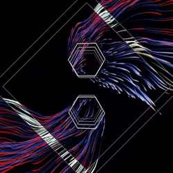 Vortex #1084