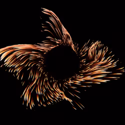 Vortex #651