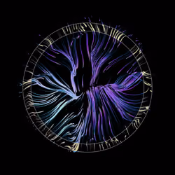 Vortex #170