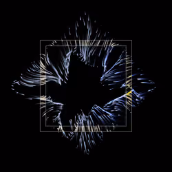 Vortex #728