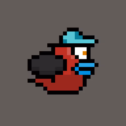 OmniBird 1999