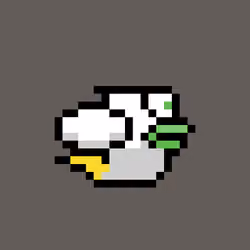 OmniBird 1566