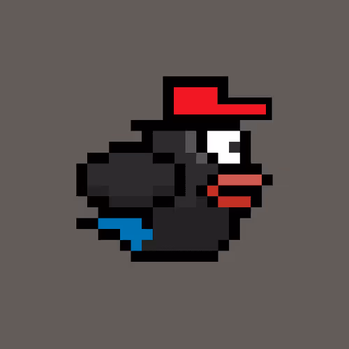 Omni Bird