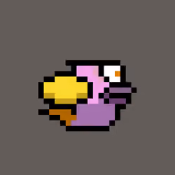 OmniBird 911