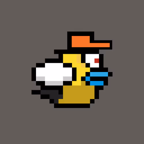 Omni Bird