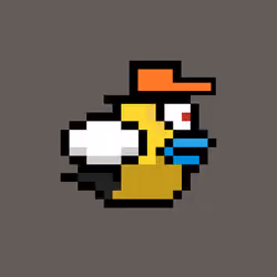 OmniBird 1998