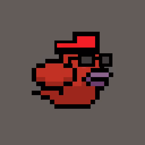 Omni Bird