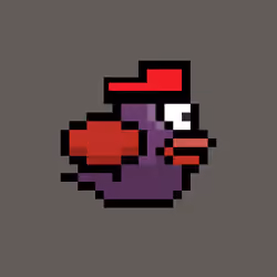OmniBird 541