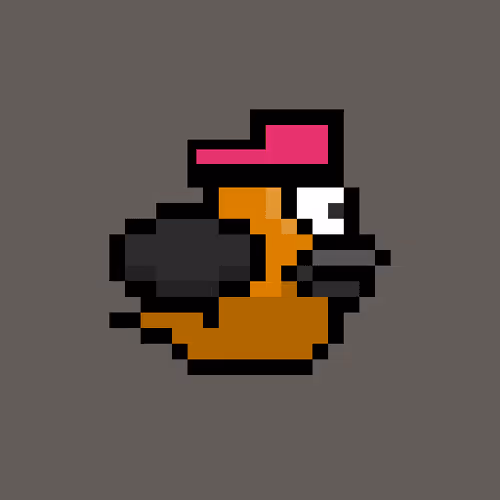 OmniBird 524
