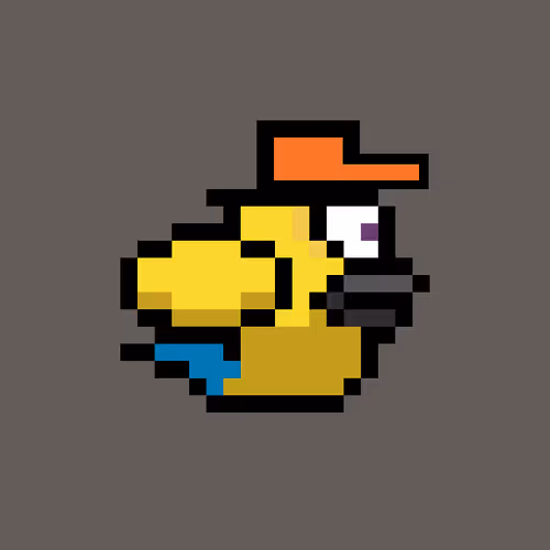 Omni Bird