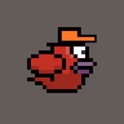 OmniBird 267